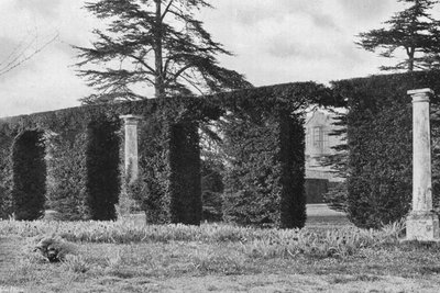 Un seto arqueado majestuoso de Charles Latham