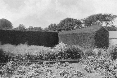 Setos de Boj en el Jardín de la Cocina de Charles Latham