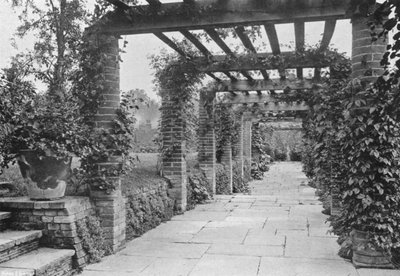 Mirando al Sur por la Pérgola de Charles Latham