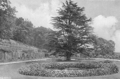 En el Césped de Charles Latham