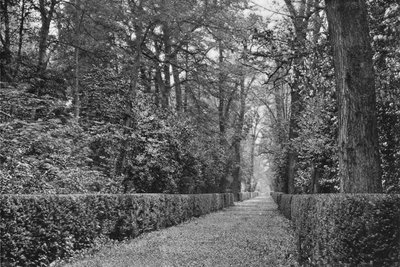 El paseo del perro de Charles Latham