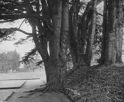 Los Escalones del Jardín de Charles Latham