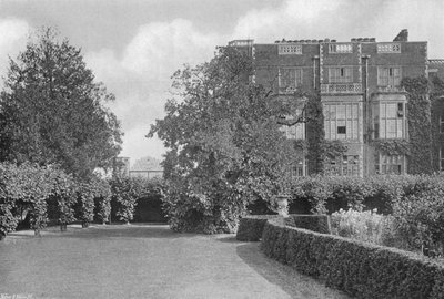 El viejo árbol de morera de Charles Latham
