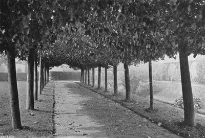 El Paseo de los Árboles de Charles Latham