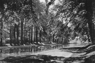 El Estanque T de Charles Latham