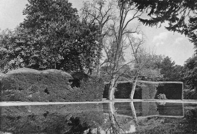 El paseo de los tejos de Charles Latham