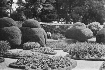 Bajo el Ilex de Charles Latham