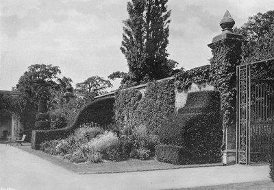 Contrafuerte de tejo, paseo del mirador de Charles Latham
