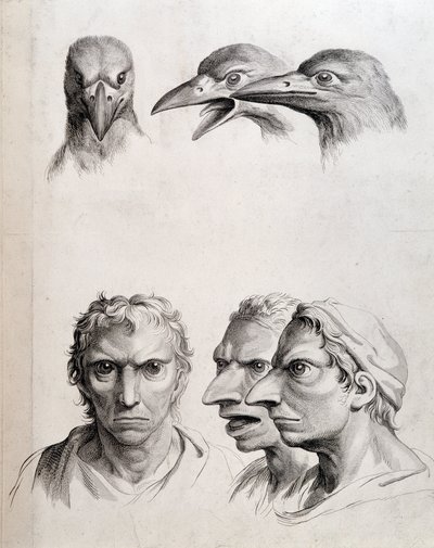 Perfiles de pájaro y hombre-pájaro - en 