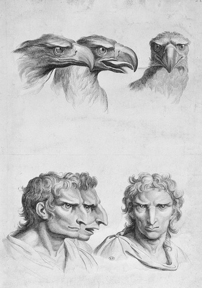 Similitudes entre la Cabeza de un Águila y un Hombre, del 