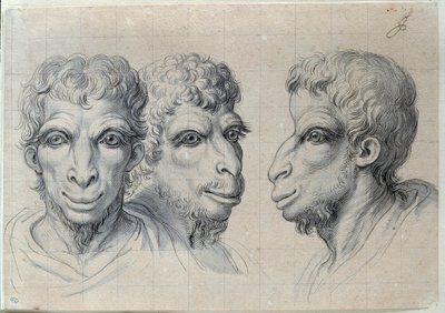 Estudios de tres cabezas de hombres recordando la fisonomía del camello. Dibujo de Charles Lebrun (1619-1690). Siglo XVII. París, Museo del Louvre de Charles Le Brun