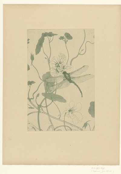 Libélula en una flor de capuchina
Fleurs
L