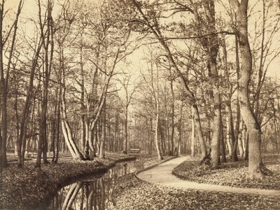 Bosque de Boulogne, París de Charles Marville
