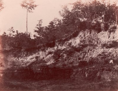 Carrière, 1850-53 de Charles Marville