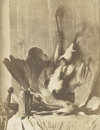 Naturaleza muerta de caza, c.1853-55 de Charles Marville