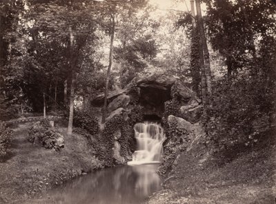 Gruta en el Bois de Boulogne, 1858-1860 de Charles Marville