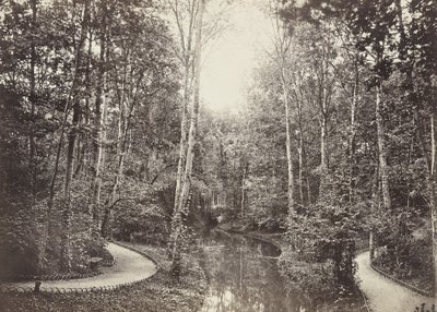 Mare aux biches (Estanque de ciervas), Bois de Boulogne de Charles Marville