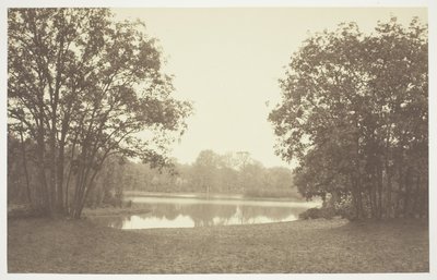 Sin título de Charles Marville