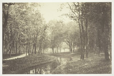 Sin Título de Charles Marville