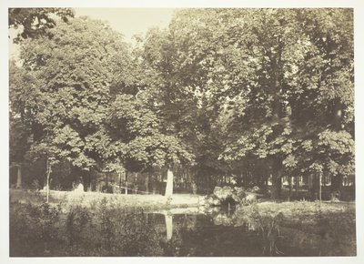 Sin título, c. 1850. [Árboles cerca del agua en el Bois de Boulogne, un parque en París] de Charles Marville
