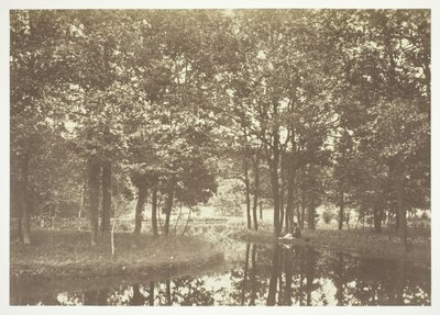 Sin título, c. 1850. [Árboles cerca del agua en el Bois de Boulogne, un parque en París] de Charles Marville
