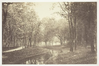 Sin Título de Charles Marville