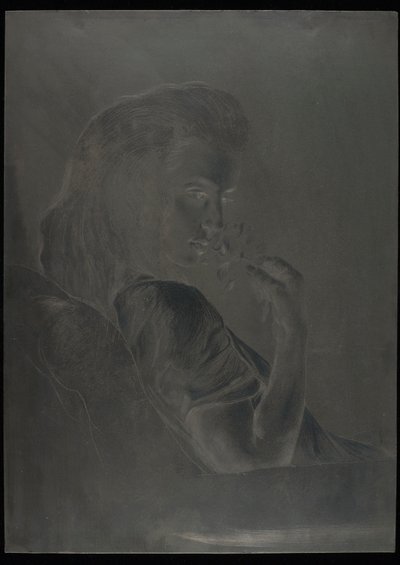 Plancha para "La rosa del té", c.1900 (plancha de acero) de Charles Maurin