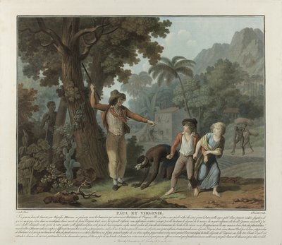 El esclavo fugitivo, lámina 2 de Paul et Virginie de Charles Melchior Descourtis