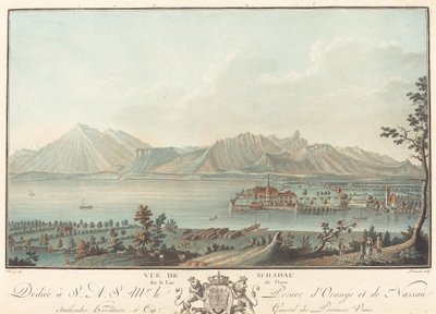 Vista de Schadau de Charles Melchior Descourtis