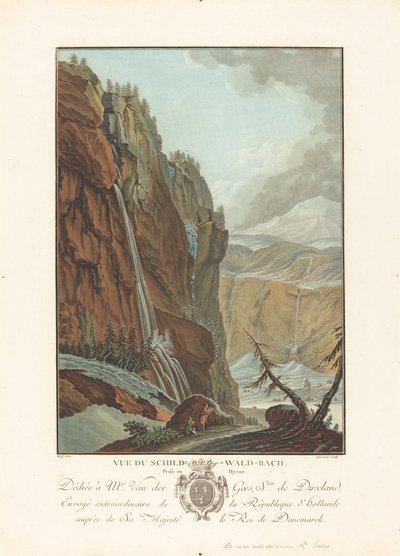 Vista del Schild-Wald-Bach tomada en invierno de Charles Melchior Descourtis