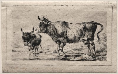 Vaca y Asno de Charles Meryon