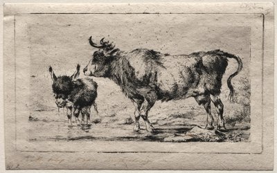 Vaca y asno, 1849 de Charles Meryon