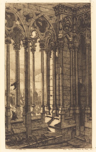 La galería de Notre-Dame, París de Charles Meryon