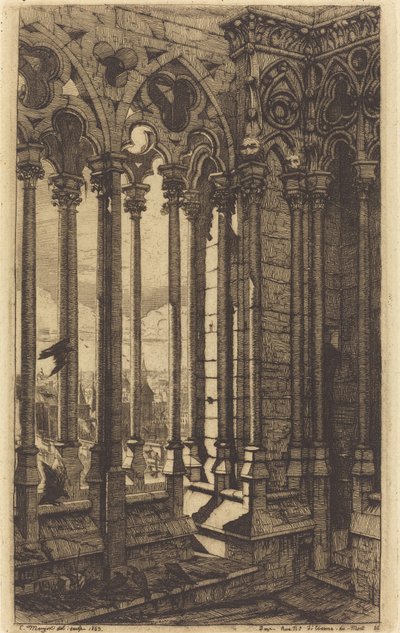 La galería de Notre-Dame, París de Charles Meryon