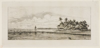 Oceanía: pesca, cerca de islas con palmeras en el grupo Uea o Wallis, 1845 de Charles Meryon