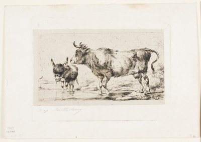 La vaca y el asno de Charles Meryon