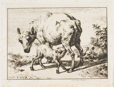 La Oveja con Dos Corderos de Charles Meryon