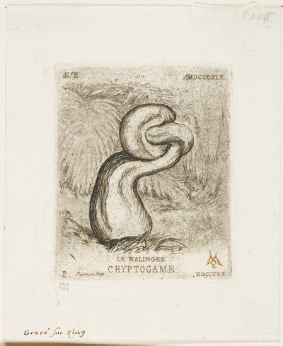 El criptógamo enfermizo de Charles Meryon