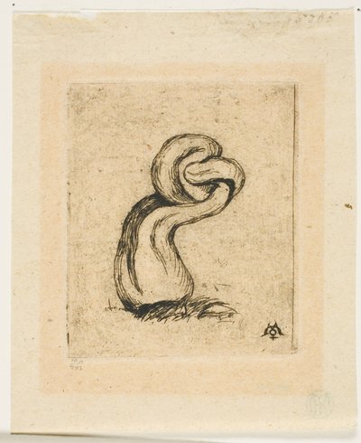 El criptógamo enfermizo de Charles Meryon