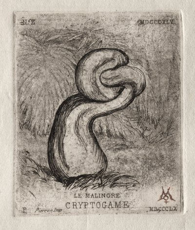 El criptógamo enfermizo, 1860 de Charles Meryon