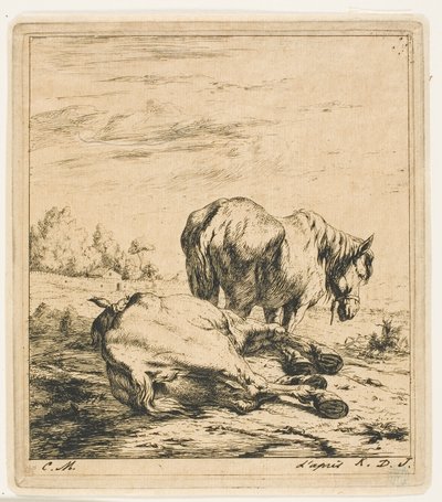 Los dos caballos de Charles Meryon