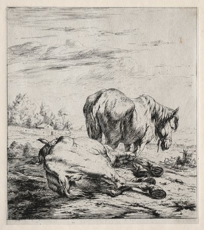 Los Dos Caballos de Charles Meryon