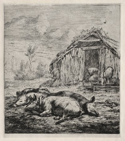 Tres cerdos tumbados frente a un establo, 1850 de Charles Meryon