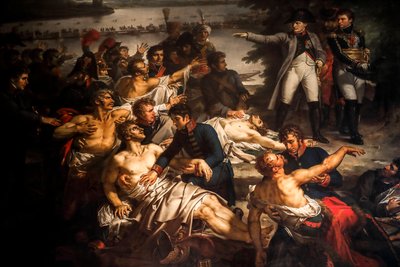 Napoleón visita a los soldados heridos en la isla de Lobau de Charles Meynier