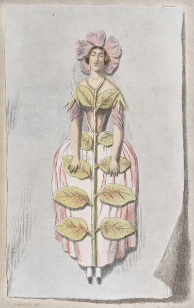 Pervenche Desséchée, de Les Fleurs Animées de Charles Michel Geoffroy