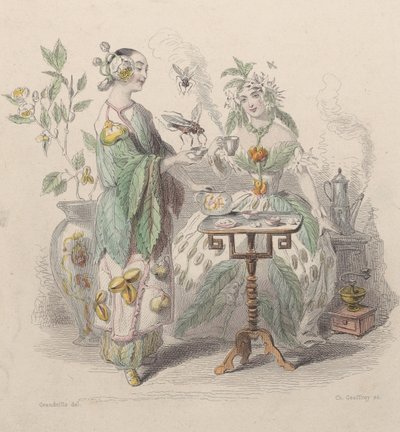 Té y Café, de Les Fleurs Animées, 1847 de Charles Michel Geoffroy