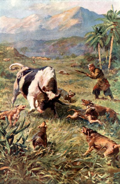 Caza de Ganado Salvaje en Haití de Charles Mills Sheldon