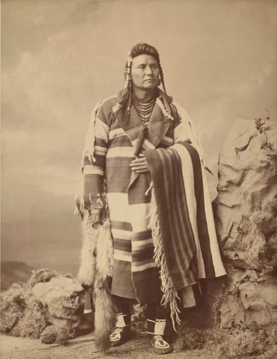Hinmatóowyalahtq’it Jefe Joseph, 1879 de Charles Milton Bell