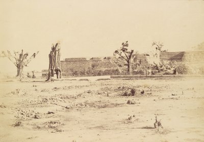 [Paisaje yermo con una fortaleza sin identificar, Delhi]. de Charles Moravia