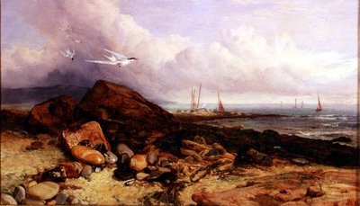 Escena costera con barco de pesca y charranes de Charles Napier Hemy